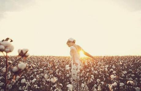 Algodón para decorar tu boda Algodón para decorar tu boda