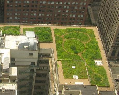 cubierta-verde-ciudad