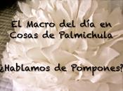 macro día: ¿hablamos pompones?