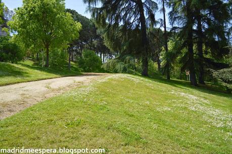 Camino del parque