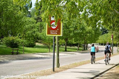 Ciclistas en el parque