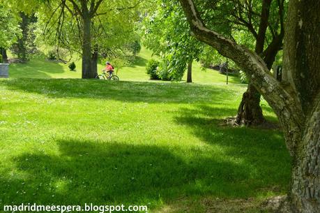 Ciclista en el parque