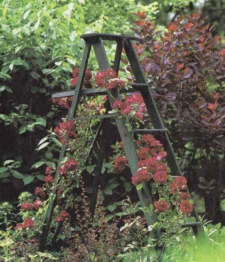 Soportes para trepadoras Soportes para trepadoras