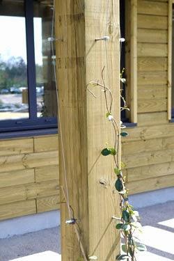 Soportes para trepadoras