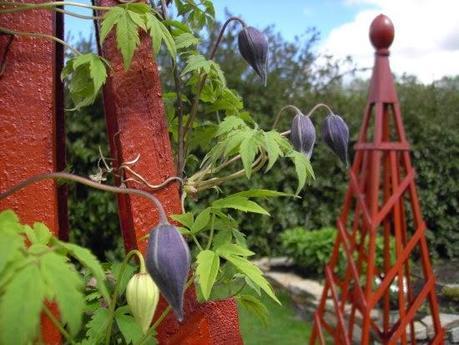 Soportes para trepadoras