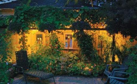 Soportes para trepadoras Soportes para trepadoras