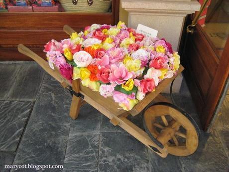 Chic Goes Wild! Chic Goes Wild!