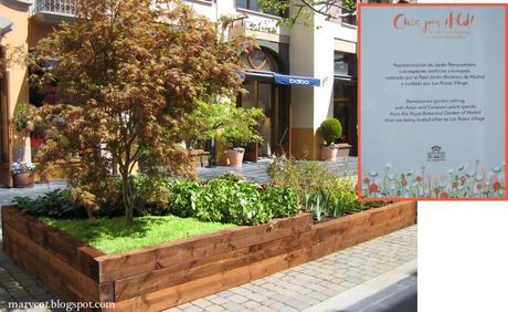 Chic Goes Wild! Chic Goes Wild!