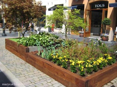 Chic Goes Wild! Chic Goes Wild!