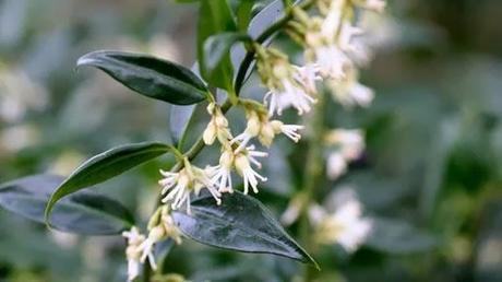 El jardín en febrero 2014 El jardín en febrero 2014