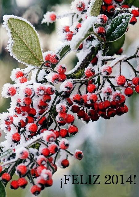 Agenda de enero 2014