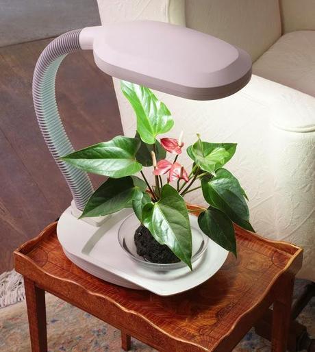 Jardineros tecnológicos Jardineros tecnológicos