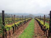 Briones Museo Cultura Vino