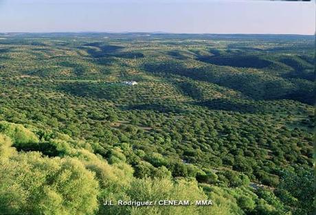 parque-de-monfragüe