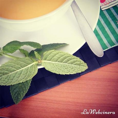 crema_de_calabaza_infusionada