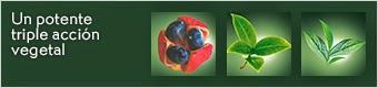 Reductor triple acción de Yves Rocher: Características y experiencia. Reductor triple acción de Yves Rocher: Características y experiencia.
