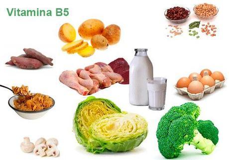 acido pantotenico