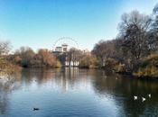 Llénate naturaleza Jame’s Park