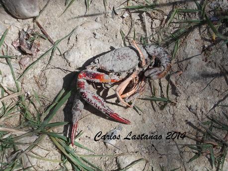 De la inundación a la sequía