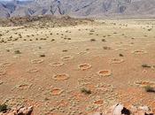 misteriosos círculos Namibia