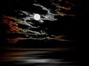 Habla noche.