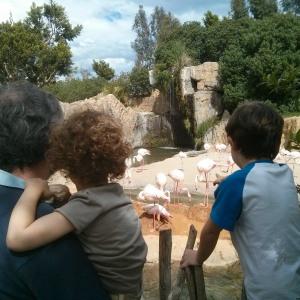 Las vallas de troncos de madera permiten a los peques ver entre ellos sin problema y usarlos como apoyo para curiosear mejor