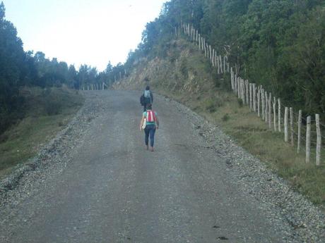 Día 16: Rodeadas de Selva Valdiviana