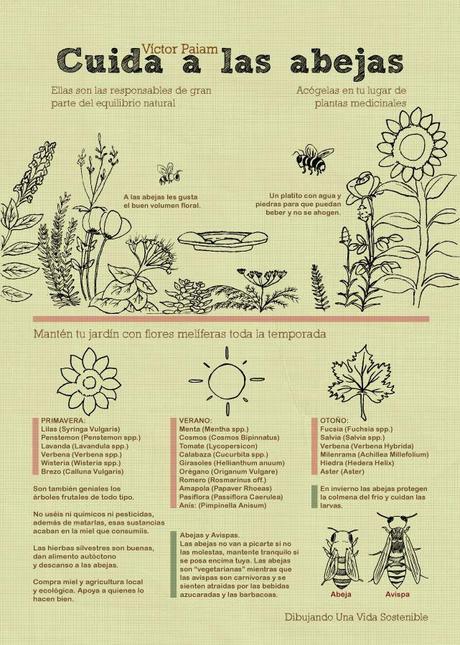 Infografía de Victor Paiam del blog Dibujando una vida sostenible 