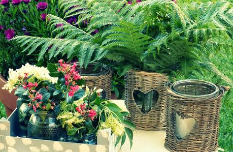 FLORES SILVESTRES PARA NUESTROS CENTROS