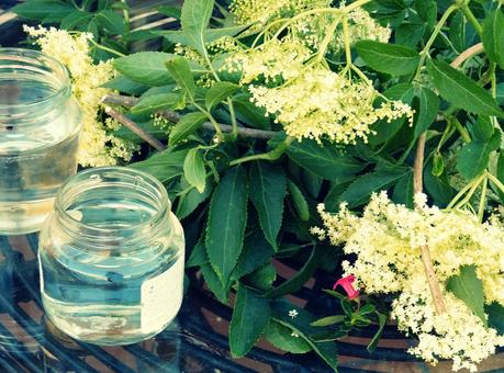 FLORES SILVESTRES PARA NUESTROS CENTROS