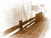 Dime presumes... Jugando