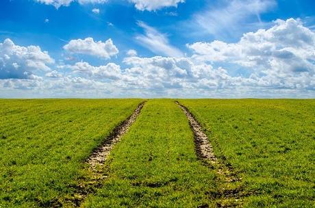 La transición a la agricultura ecológica