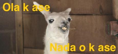 Ola k ase: la relación entre perfección y acción Ola k ase - nada o k ase