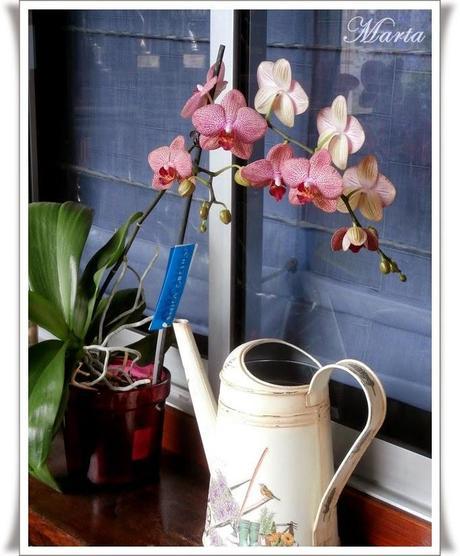 MI PRIMER TRABAJO EN CARTONAJE Y ORQUÍDEA MI PRIMER TRABAJO EN CARTONAJE Y ORQUÍDEA