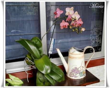 MI PRIMER TRABAJO EN CARTONAJE Y ORQUÍDEA MI PRIMER TRABAJO EN CARTONAJE Y ORQUÍDEA