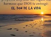 gracias dios… engrandecido misericordia…