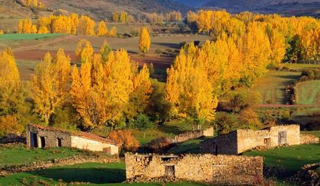 parque-natural-cuenca