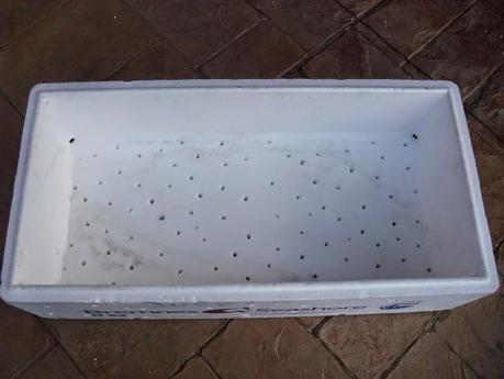 LA LOMBRICULTURA, UNA NUEVA EXPERIENCIA DENTRO DE MI HUERTO.