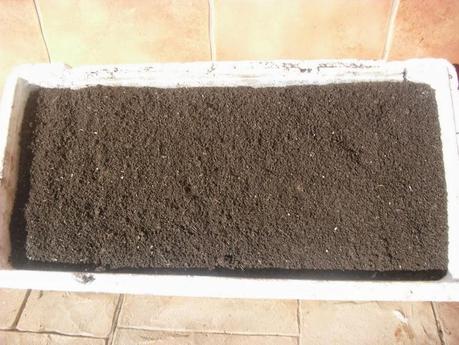 LA LOMBRICULTURA, UNA NUEVA EXPERIENCIA DENTRO DE MI HUERTO.