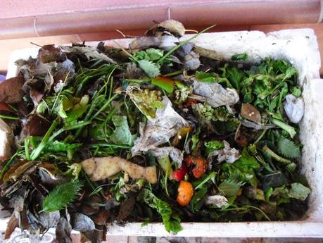 LA LOMBRICULTURA, UNA NUEVA EXPERIENCIA DENTRO DE MI HUERTO.