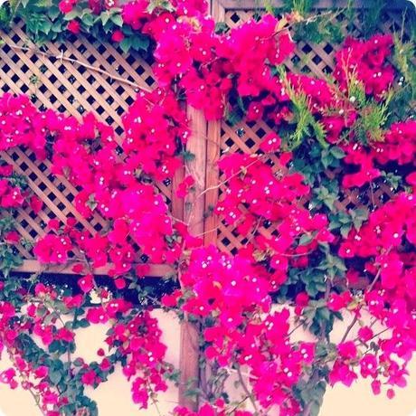 RINCONES CON ENCANTO