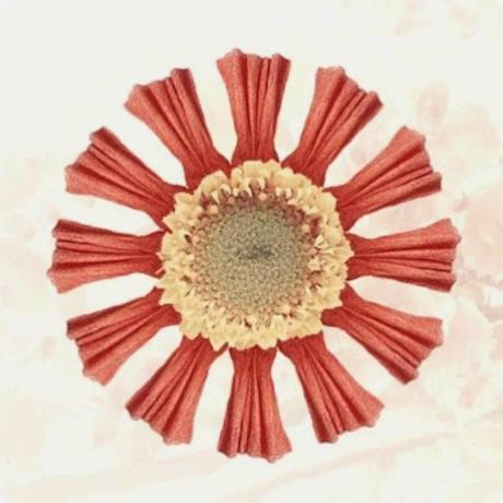 LO QUIERO, NO LO QUIERO