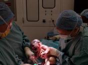 placenta materna contiene bacterias beneficiosas para bebés