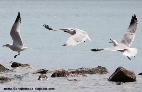Los Alcázares, unmarllenodemoda
