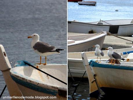 San Pedro del Pinatar, unmarllenodemoda