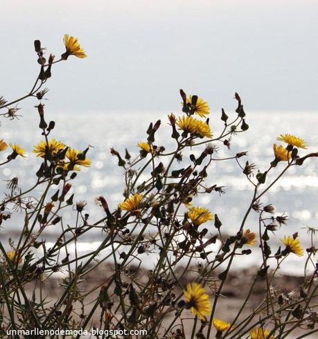 San Pedro del Pinatar, unmarllenodemoda