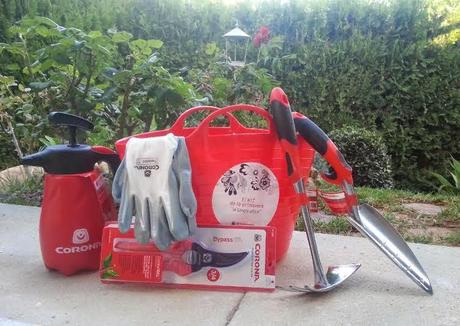 herramientas-del-sorteo-corona