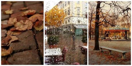OTOÑO LLEGÓ