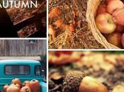 Otoño llegó