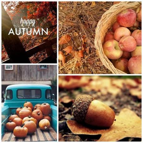 OTOÑO LLEGÓ